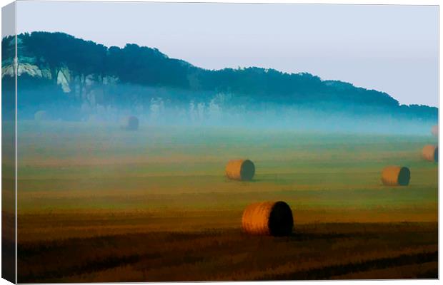 Autumn morning Canvas Print by Rod Ohlsson