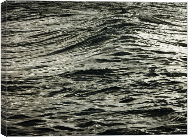 Meniscus mono Canvas Print by Rod Ohlsson