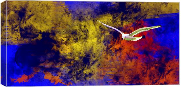 Painted bird Canvas Print by Rod Ohlsson