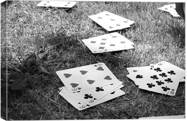 Rummy...I win... Canvas Print by Catriona Paget