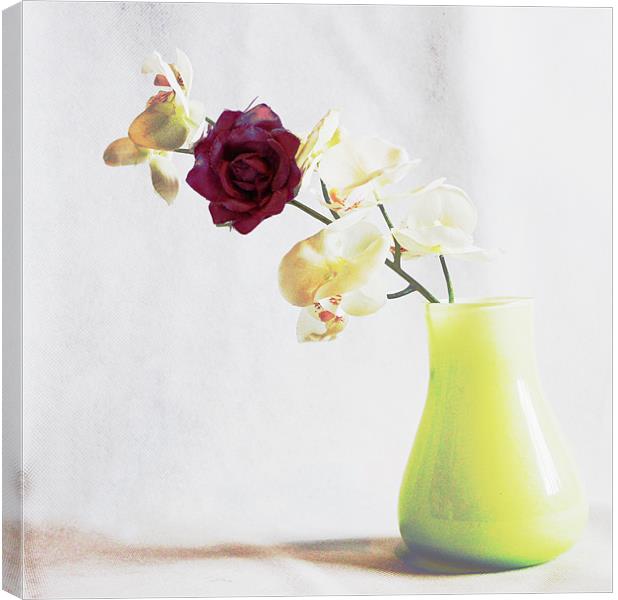 Vase Canvas Print by Loren Robbins