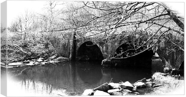  BurrsParkBridge Canvas Print by Loren Robbins