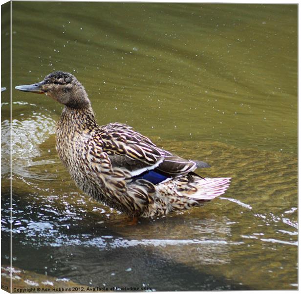 Ronald Duck Canvas Print by Ade Robbins
