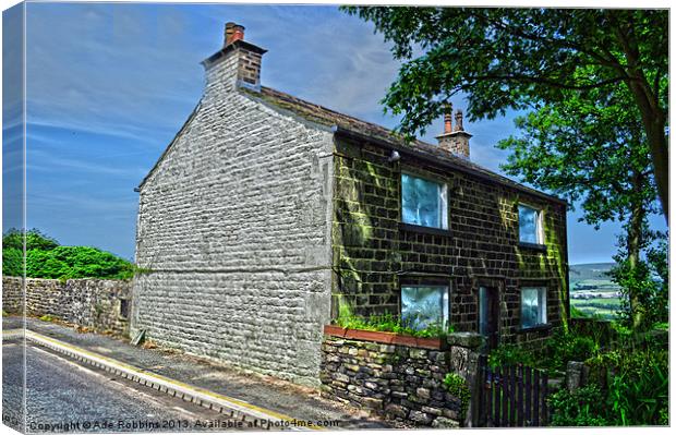 Original Abandoned Cottage Canvas Print by Ade Robbins