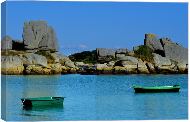 Two Green Boats Canvas Print by Ade Robbins