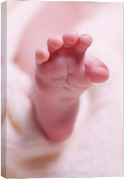 Baby's Foot Canvas Print by Philip Dunk