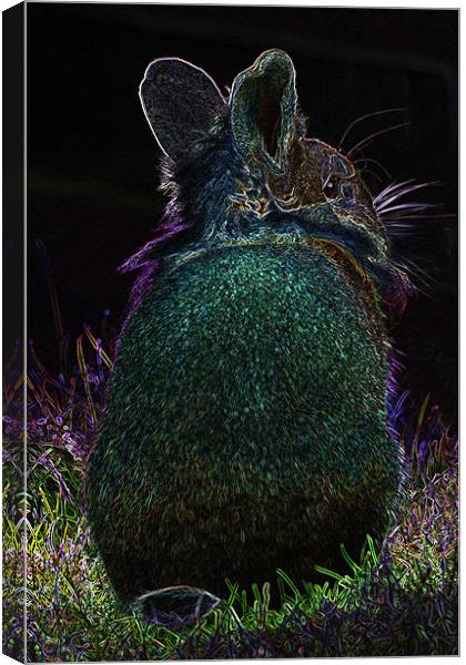 Glow in the dark rabbit Canvas Print by Claire McQueen