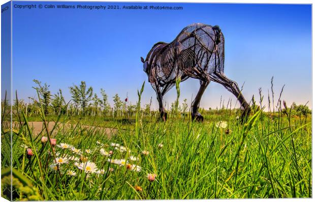 The Featherstone War Horse - 7 Canvas Print by Colin Williams Photography