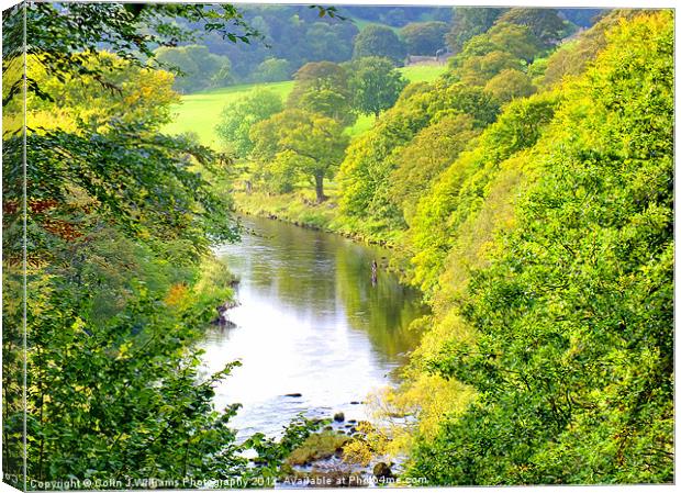 Fly Fishing Nidderdale Canvas Print by Colin Williams Photography