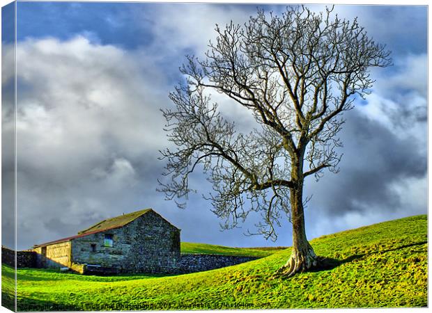 Keld Pasture Canvas Print by Colin Williams Photography