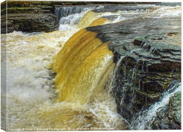 Lower Falls Aysgarth Canvas Print by Colin Williams Photography