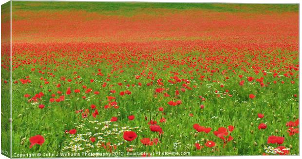 Poppies In Oxfordshire Canvas Print by Colin Williams Photography