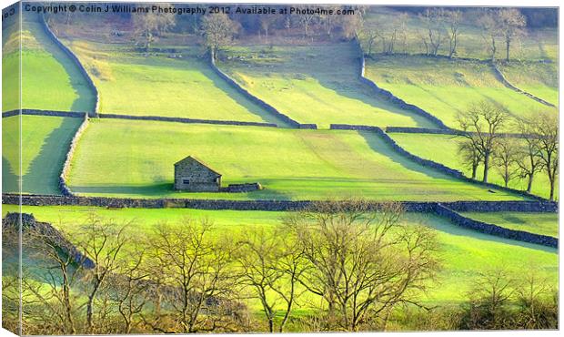 The Yorkshire Dales Canvas Print by Colin Williams Photography
