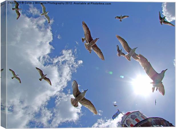 Brighton Seagulls Canvas Print by Colin Williams Photography