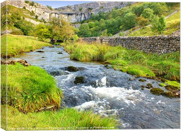 Valley Below Malham  Cove Canvas Print by Colin Williams Photography