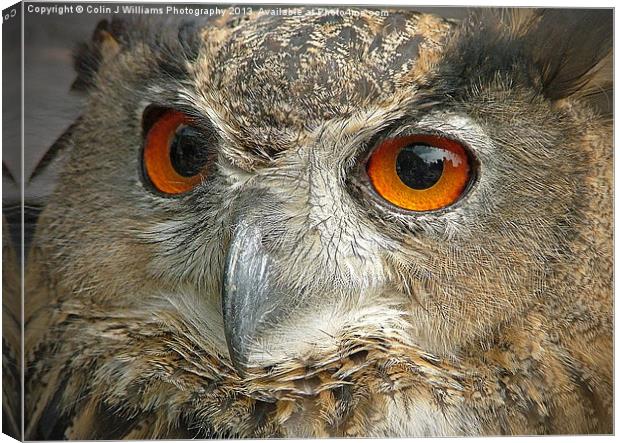 Eagle Owl Canvas Print by Colin Williams Photography