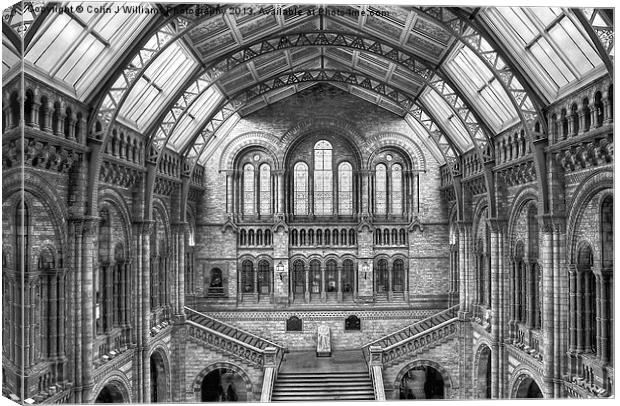 Natural History Museum - London Canvas Print by Colin Williams Photography