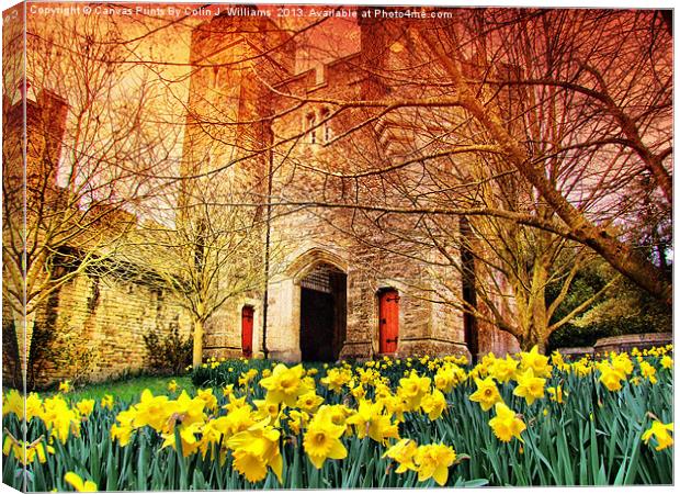 The Gateway - Arundel Castle Canvas Print by Colin Williams Photography
