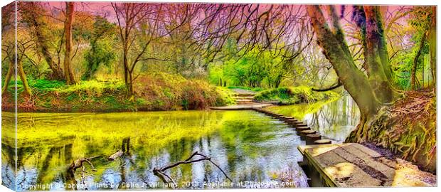 The Stepping Stones - Box Hill Canvas Print by Colin Williams Photography
