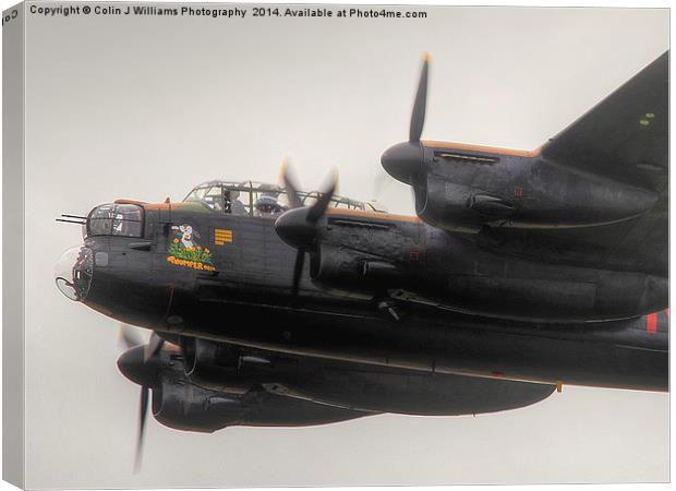  Thumper Fast And Low - Shoreham 2014 Canvas Print by Colin Williams Photography