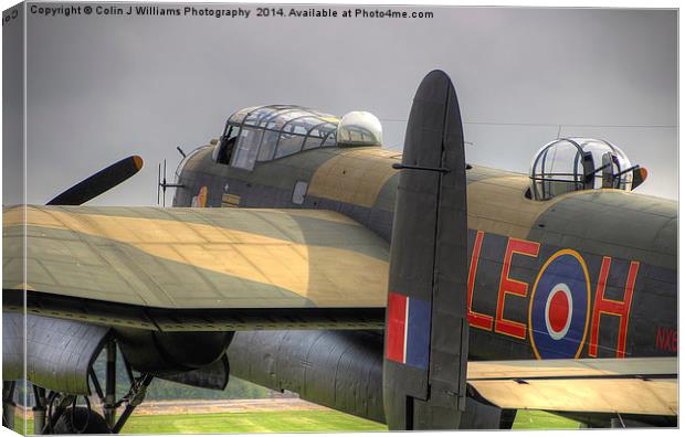 A Moody Just Jane  Canvas Print by Colin Williams Photography