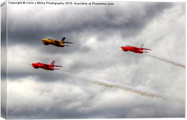   The  Gnat Display Team Canvas Print by Colin Williams Photography