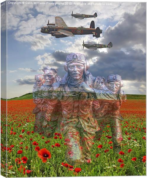  We Remember Them Canvas Print by Colin Williams Photography