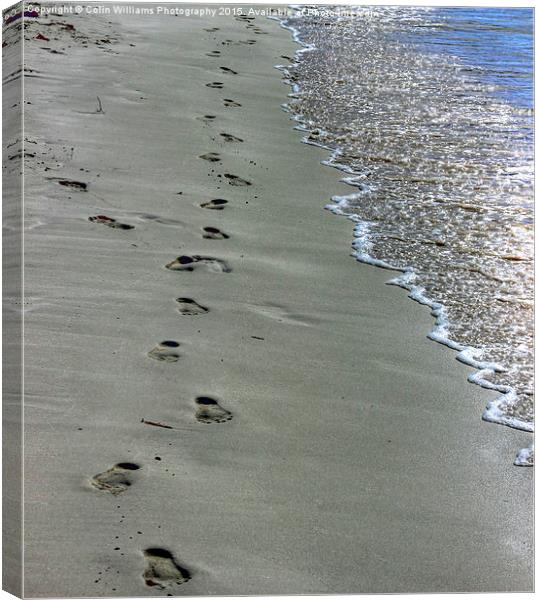  Footprints in The Sand Canvas Print by Colin Williams Photography