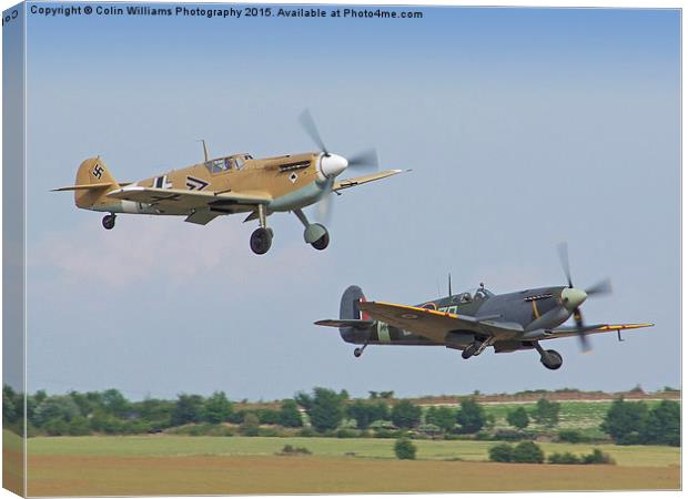  Friend And Foe Take Off  Canvas Print by Colin Williams Photography
