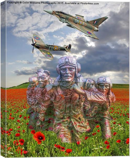 A Salute To The Few -  The Battle of Britain 75  Canvas Print by Colin Williams Photography