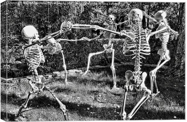  Dancing Skeletons  Canvas Print by Colin Williams Photography