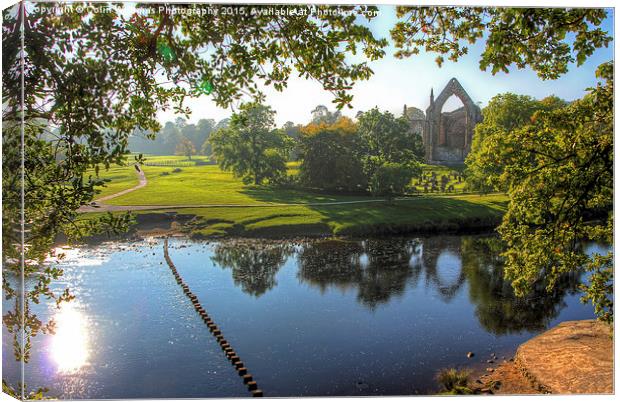  Bolton Abbey 2 Canvas Print by Colin Williams Photography