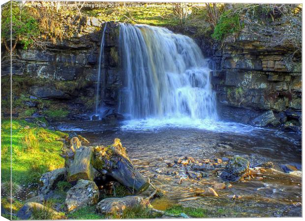  East Gill Force, Keld, Yorkshire Dales Canvas Print by Colin Williams Photography