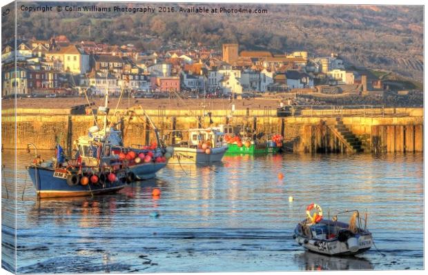 Lyme Regis Harbour  Canvas Print by Colin Williams Photography