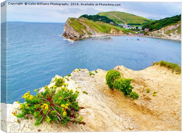 Lulworth Cove Dorset Canvas Print by Colin Williams Photography