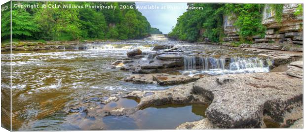 Lower Falls Aysgarth Panorama  - Yorkshire Dales Canvas Print by Colin Williams Photography