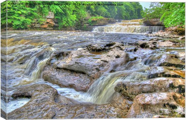 Lower Falls Aysgarth 1 - Yorkshire Dales Canvas Print by Colin Williams Photography