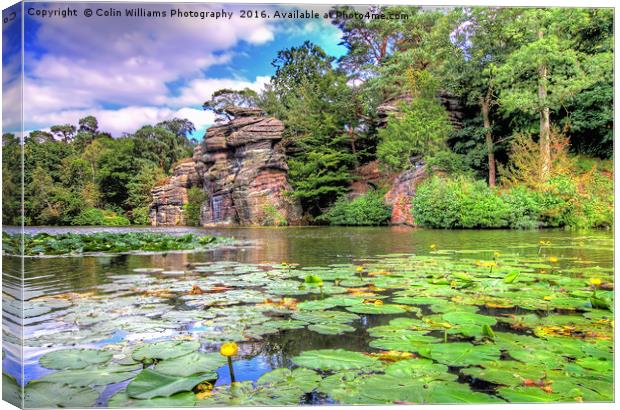 Plumpton Rocks North Yorkshire 1 Canvas Print by Colin Williams Photography