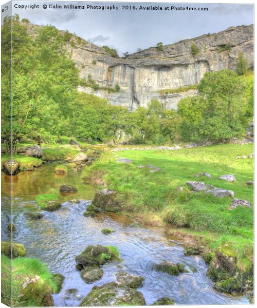 The Cliffs Of Malham Cove 2 Canvas Print by Colin Williams Photography