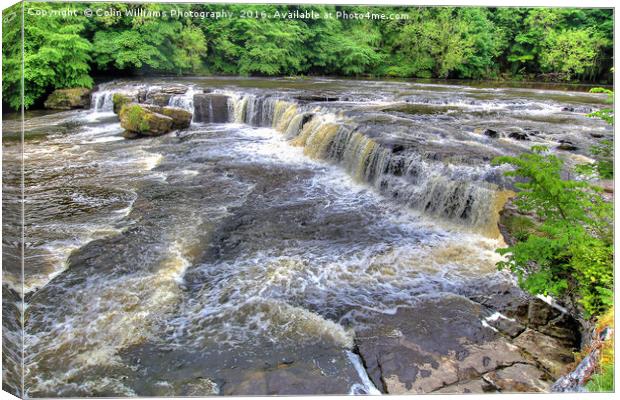 Upper Falls Aysgarth 3 - Yorkshire Dales Canvas Print by Colin Williams Photography