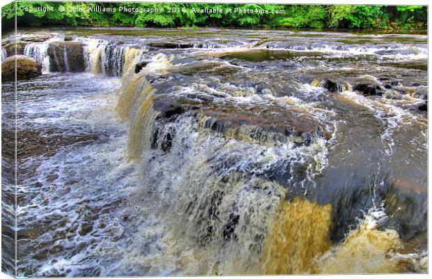 Upper Falls Aysgarth 4 - Yorkshire Dales Canvas Print by Colin Williams Photography