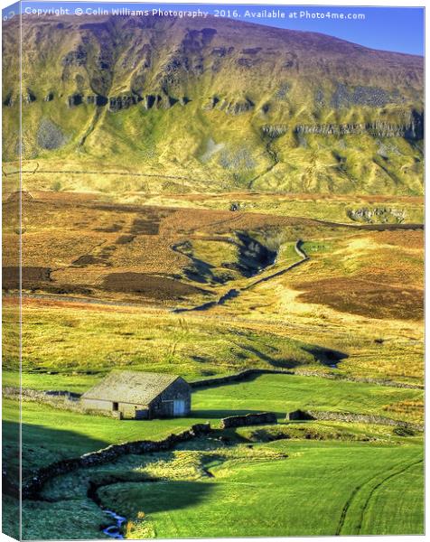 Pen-y-ghent North Yorkshire - 1 Canvas Print by Colin Williams Photography