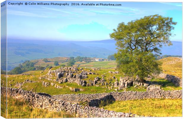 The Road to Malham Canvas Print by Colin Williams Photography