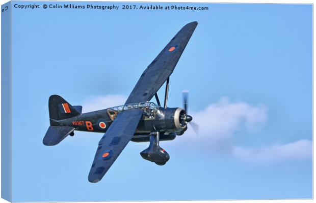 1938 WESTLAND LYSANDER - 1 Canvas Print by Colin Williams Photography
