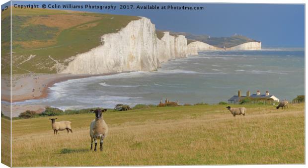  Sheep and the Seven Sisters 2 Canvas Print by Colin Williams Photography