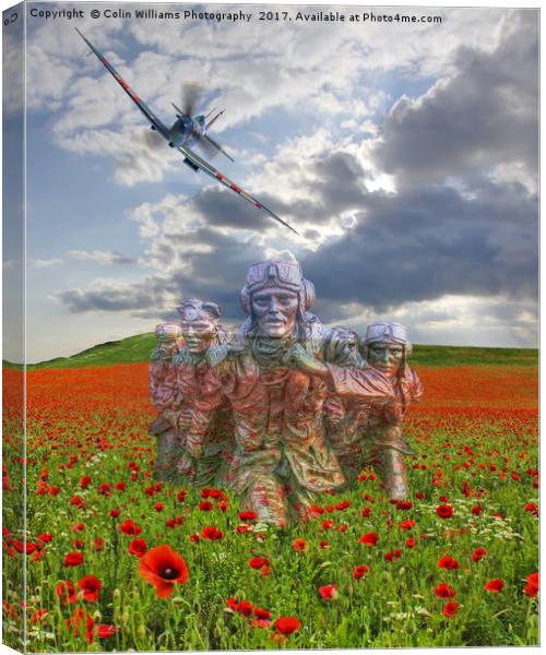 We Salute The Few Canvas Print by Colin Williams Photography