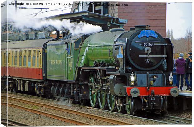 Tornado 60163 At Westfield Westgate 03.03.2019 Canvas Print by Colin Williams Photography