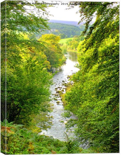 The River Wharfe Bolton Abbey - 1 Canvas Print by Colin Williams Photography