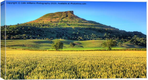 Roseberry Topping North Yorkshire 3 Canvas Print by Colin Williams Photography