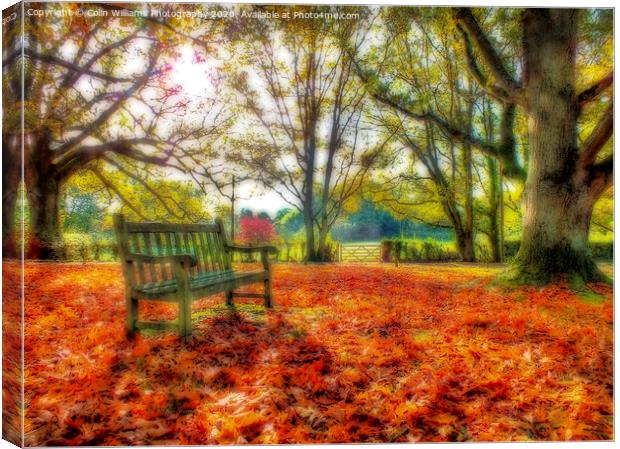 A Bench in The Surrey Hills. Canvas Print by Colin Williams Photography